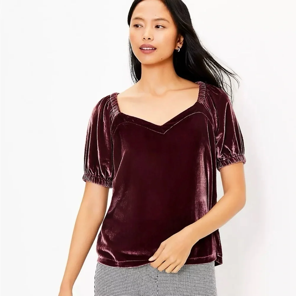 LOFT Large Petite Velvet Puff Sleeve Top